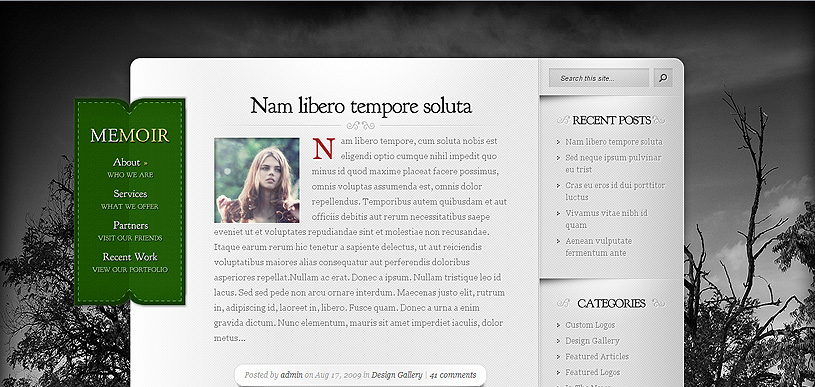 web design showcases