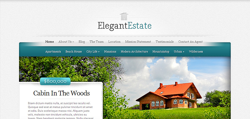 cheap web design